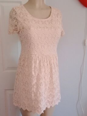 Forever 21 Blush Lace Fit & Flare Mini Dress